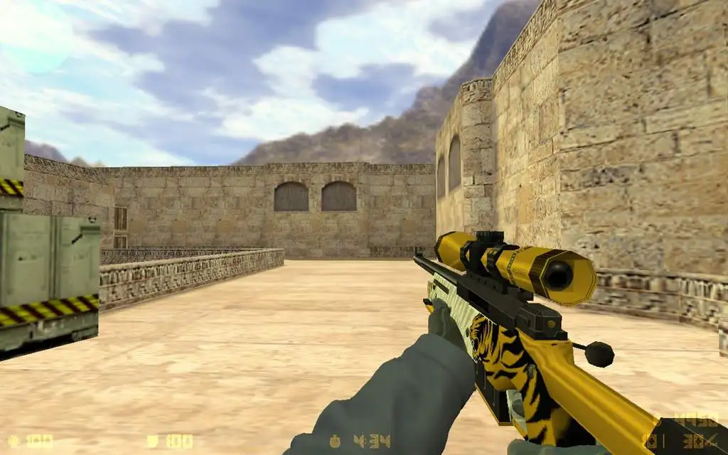 Southeast Tiger on Gooseman's (CSGO)