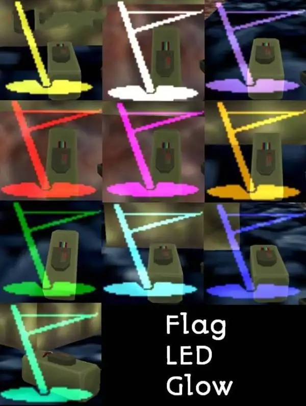C4 LEDs Flag