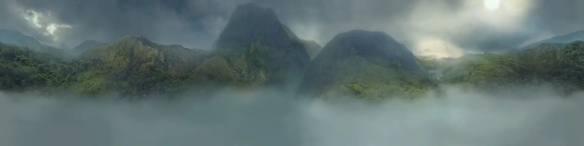 Jungle SKY BOX