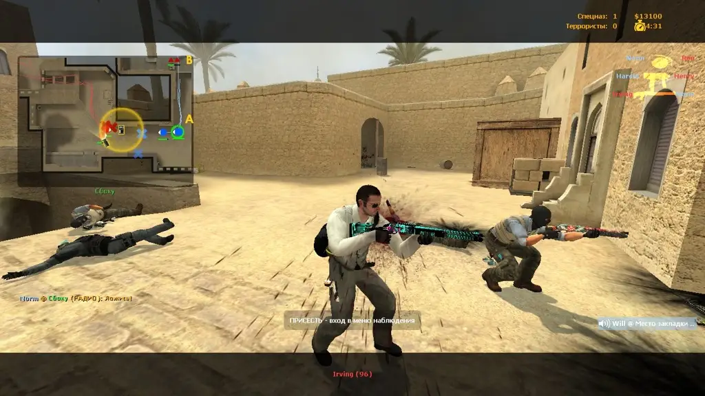 CSS v34 TheAmonDit