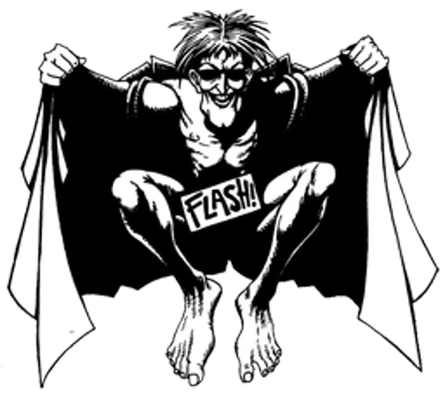 Flasher